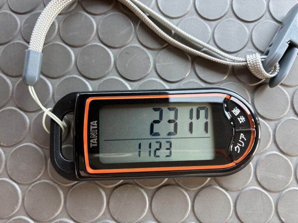 実際に使用しているタニタの歩数計:FB-732